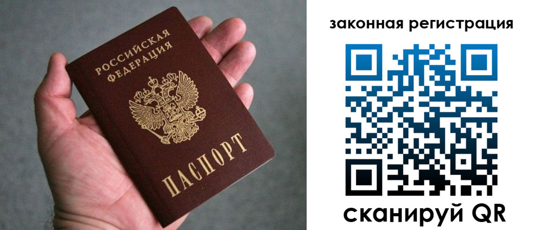 временная регистрация надежно в Курганской области